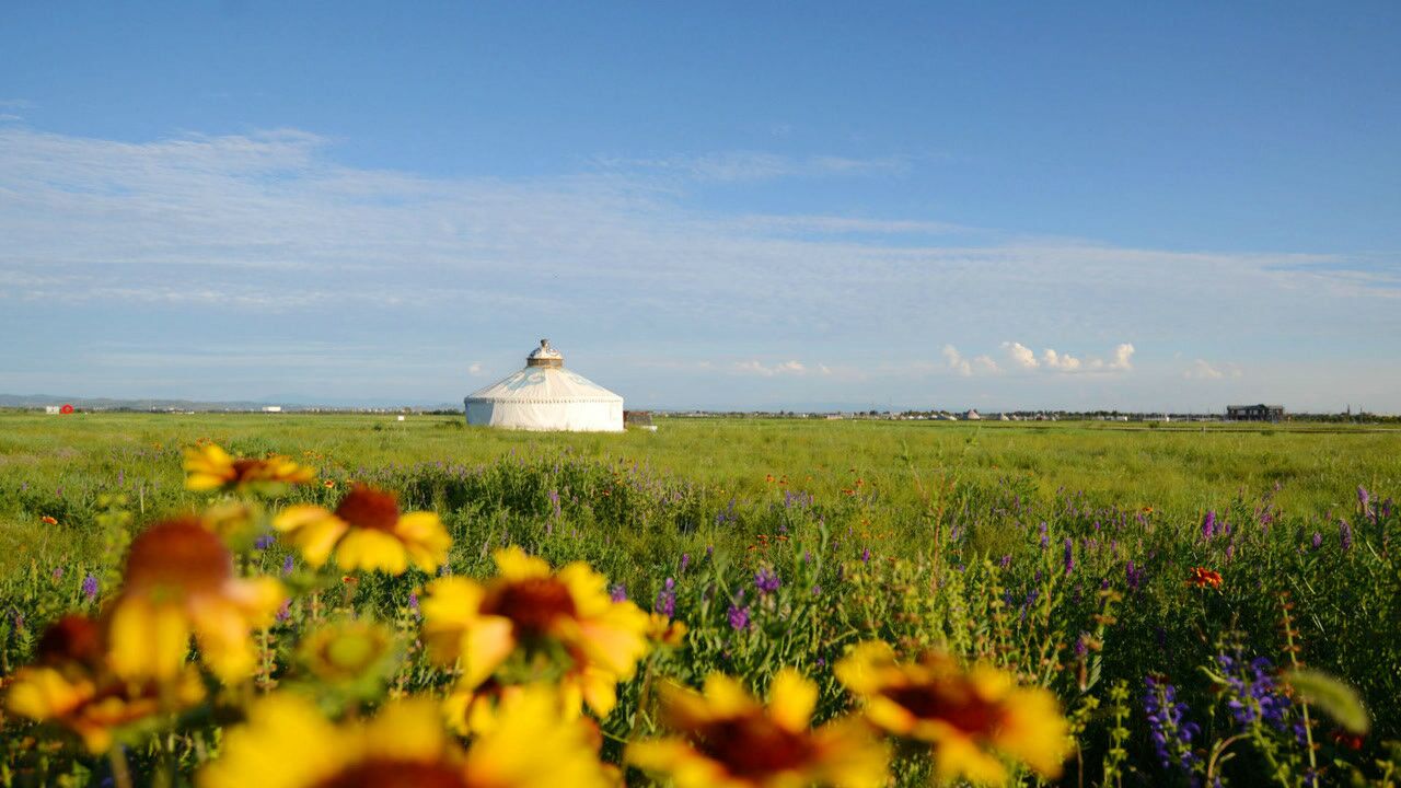 梦中的额吉  演唱 乌达木 蒙语 摄影师 潘景新