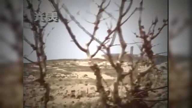 台湾“金钟歌王”洪荣宏《一支小雨伞》1983年的大热单曲