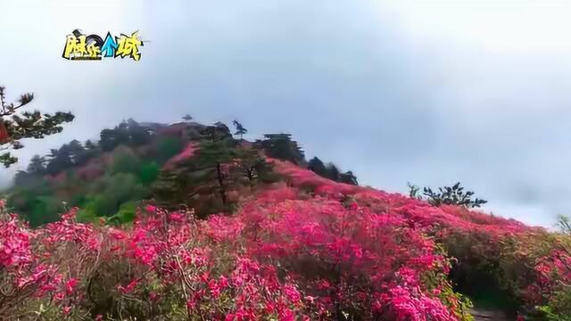 麻城龟峰山景区航拍