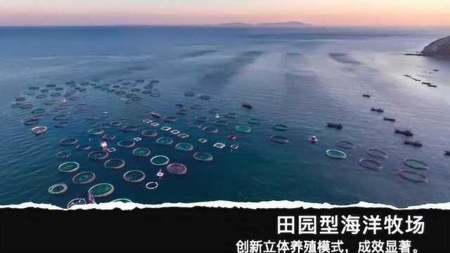 精彩改革故事之——烟台市海洋牧场建设