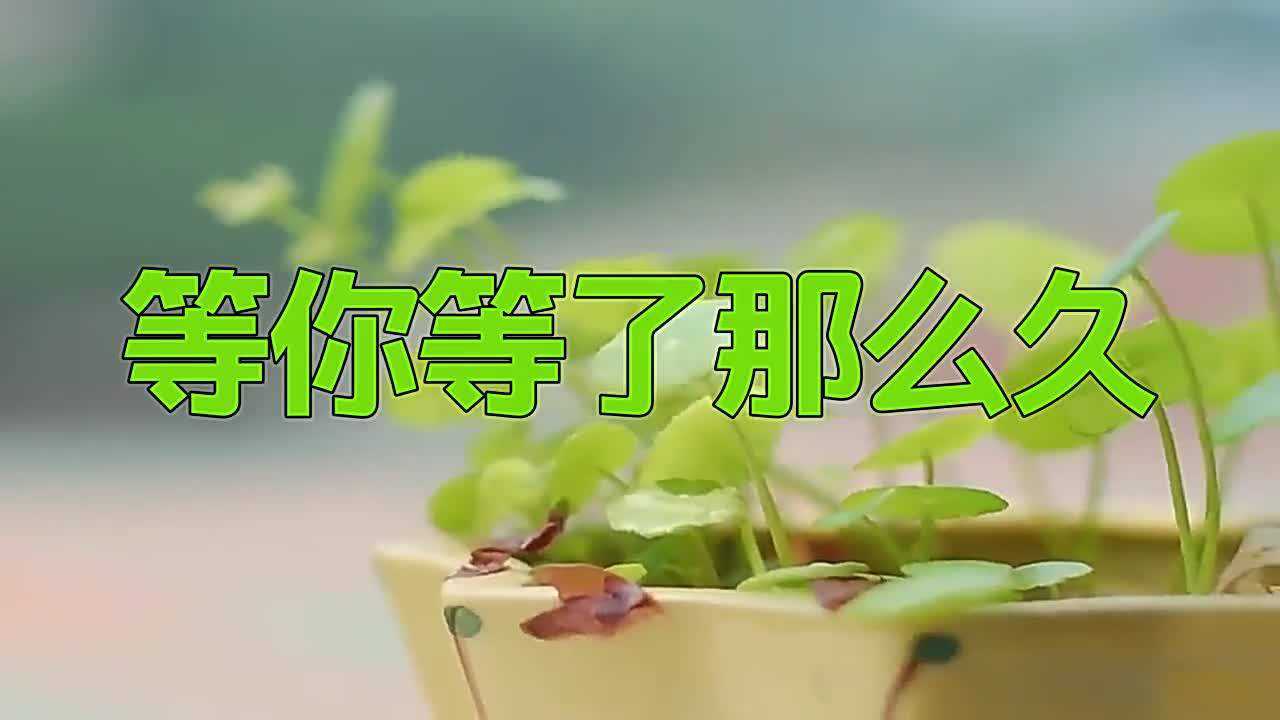 孫露這首等你等了那麼久依然給力真是太走心了