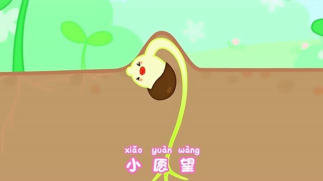 豆乐儿歌益智动画:豆乐种下一颗小种子
