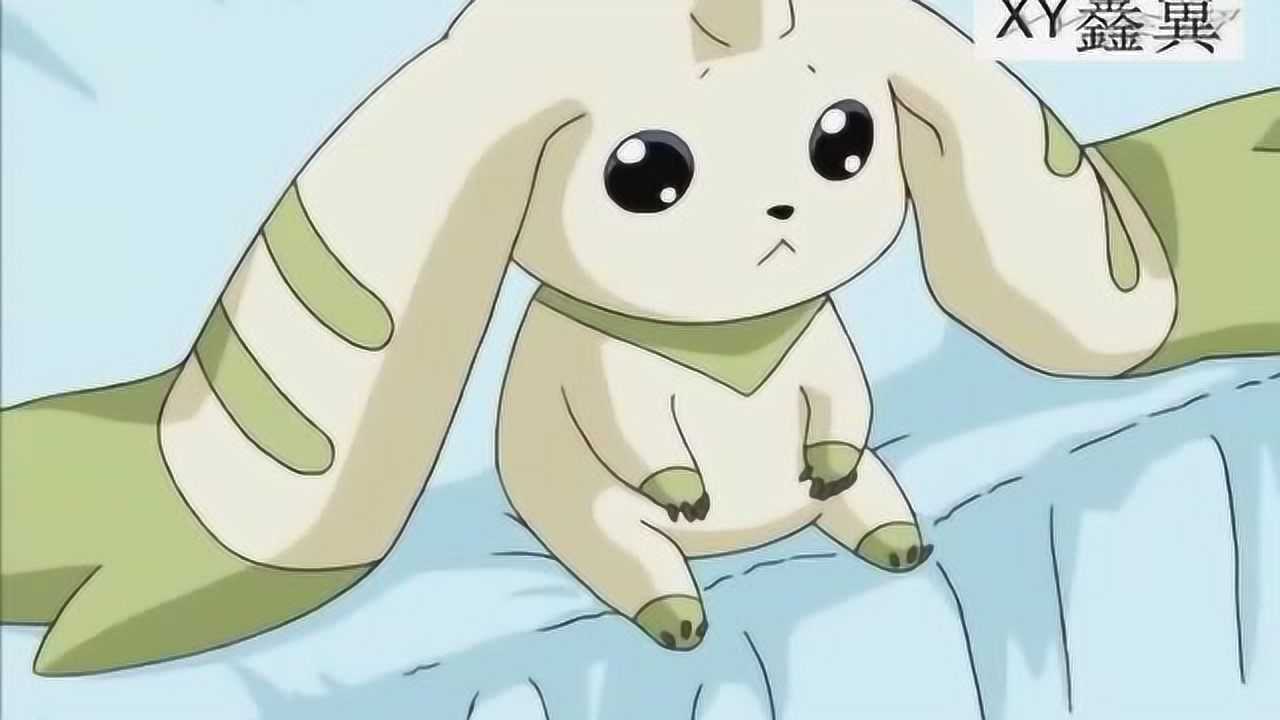 数码宝贝:大耳兽被人当宠物,逼着喂奶,太搞笑!