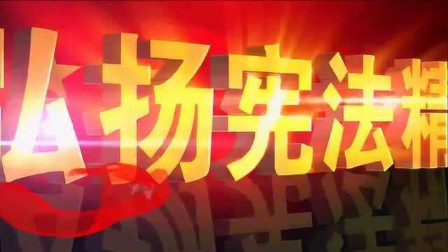 国家宪法日:《我与宪法》