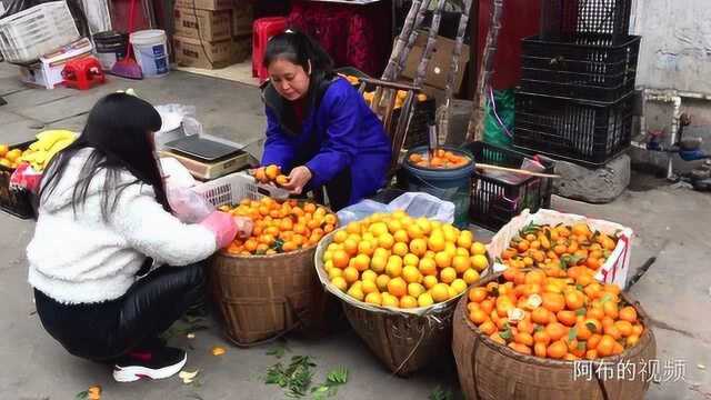 湖南麻阳苗族自治县的菜市场跟别处没有什么不同