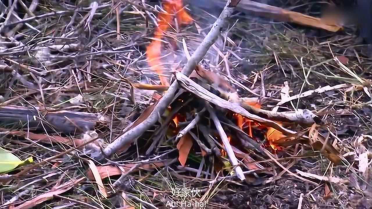 三个多小时的努力终于成功,树枝燃烧的一瞬间揪着的心终于放下了!_高清1080P在线观看平台_腾讯视频