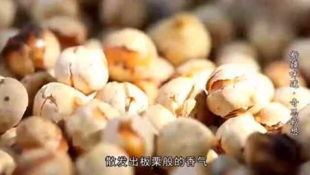 鹰嘴豆,不仅是儿时的零嘴,也能成为餐桌上的调味品!