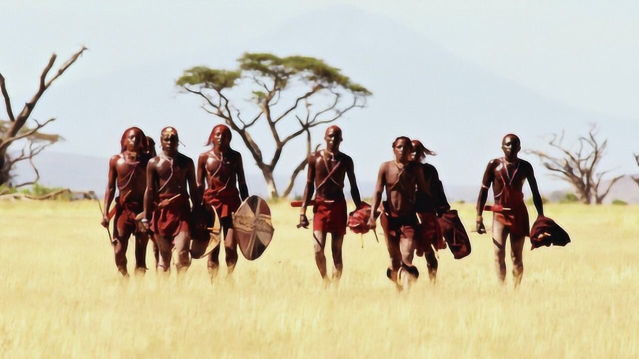 纪录片骗了多少人很多人都不知道非洲死神黑曼巴的真相