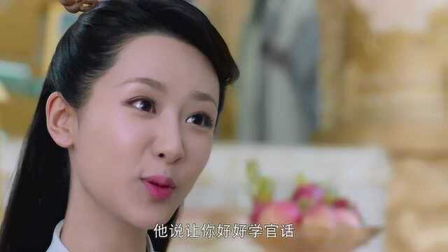 香蜜:小葡萄给凤凰做翻译,凤凰高兴坏了,这方言跟翻译笑得肚子疼