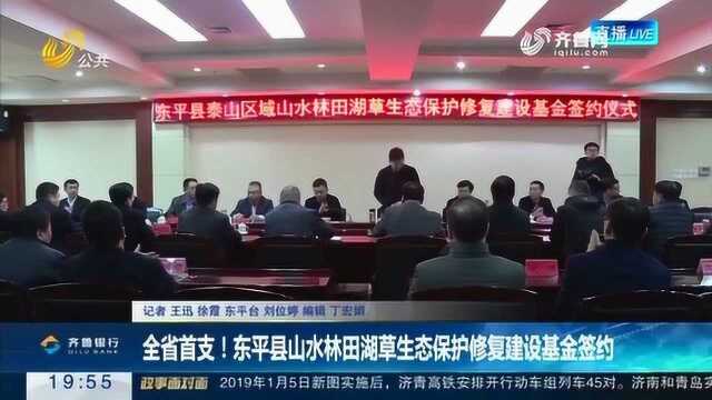 全省首支!东平县山水林田湖草生态保护修复建设基金签约