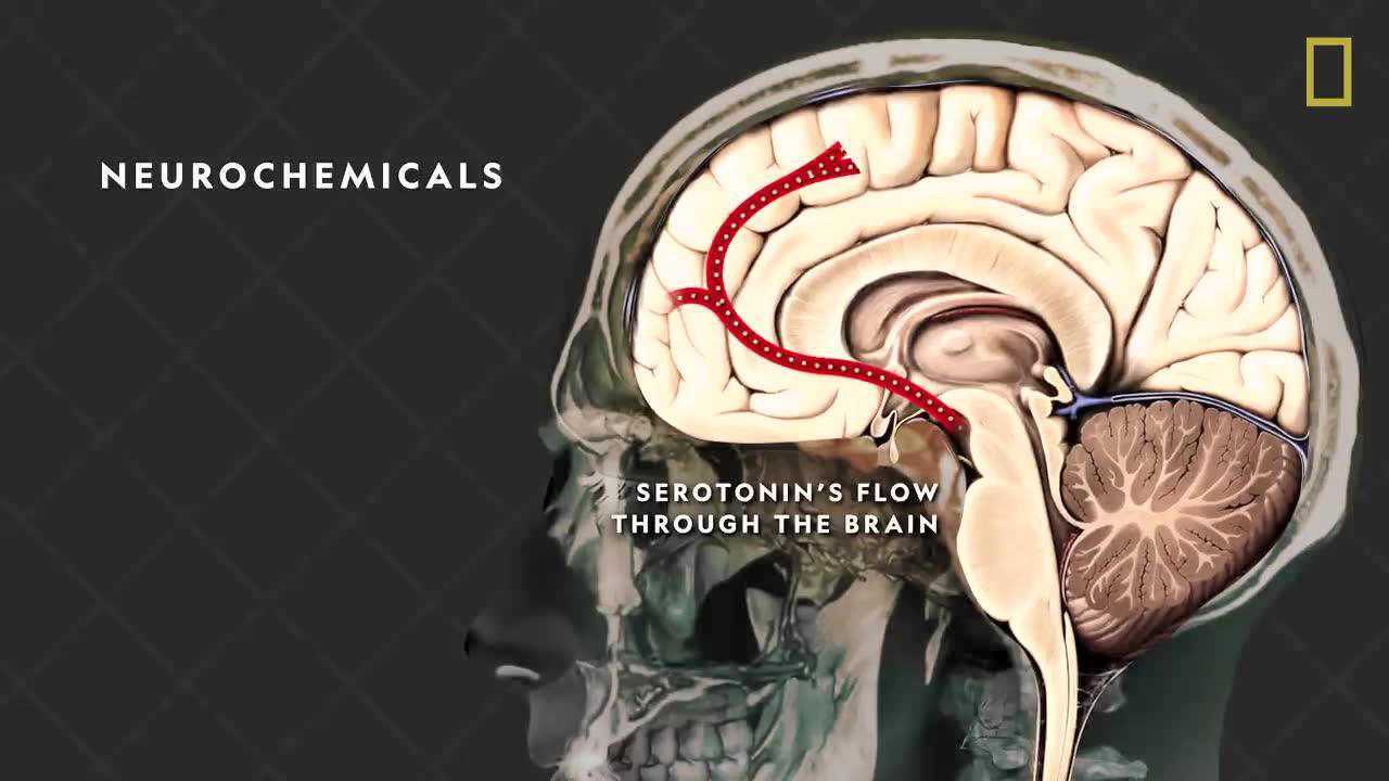 3分钟了解酒的历史