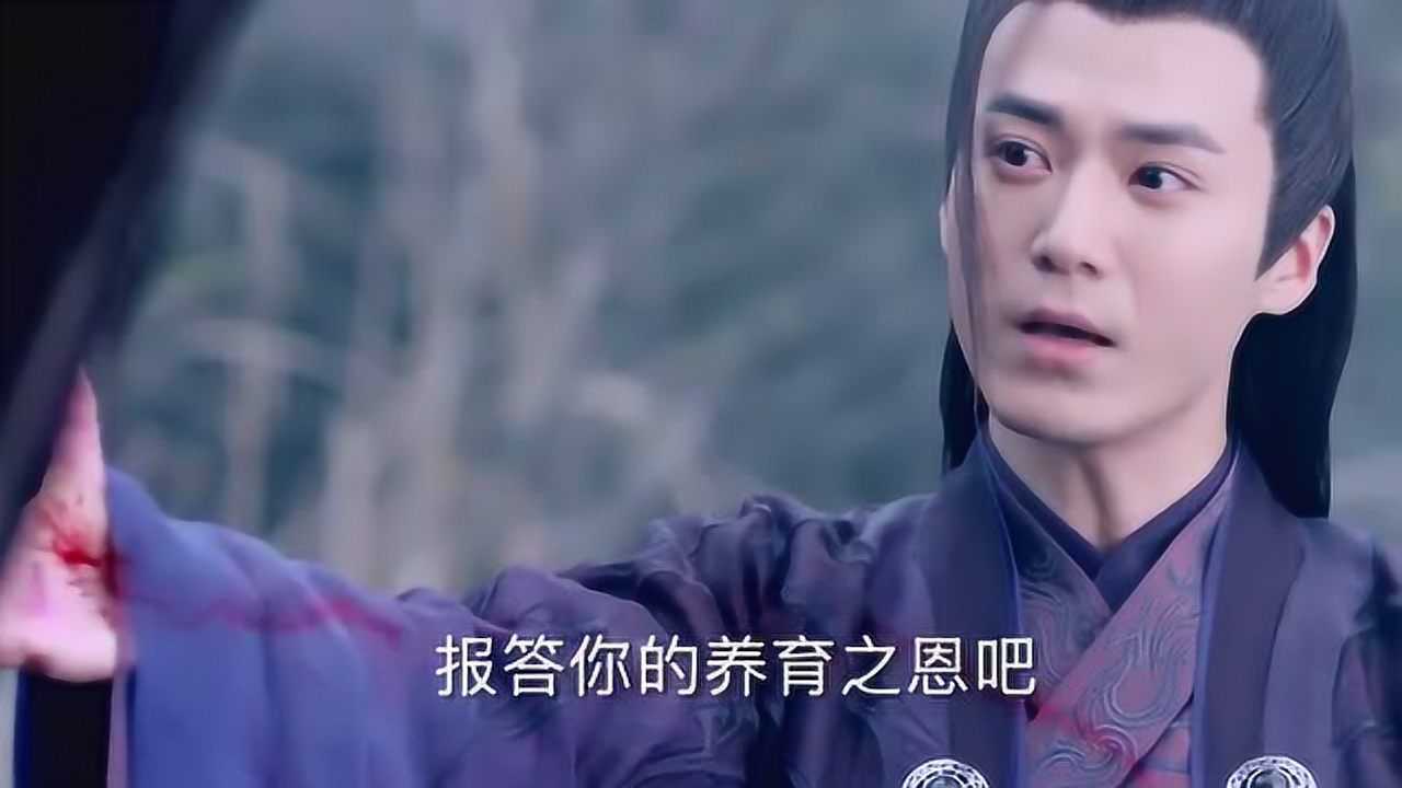 青云志2毒神自食恶果秦无炎也是一个可怜之人他杀了师傅