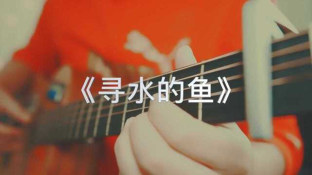 吉他弹唱许飞《寻水的鱼》一首轻快好听的歌曲