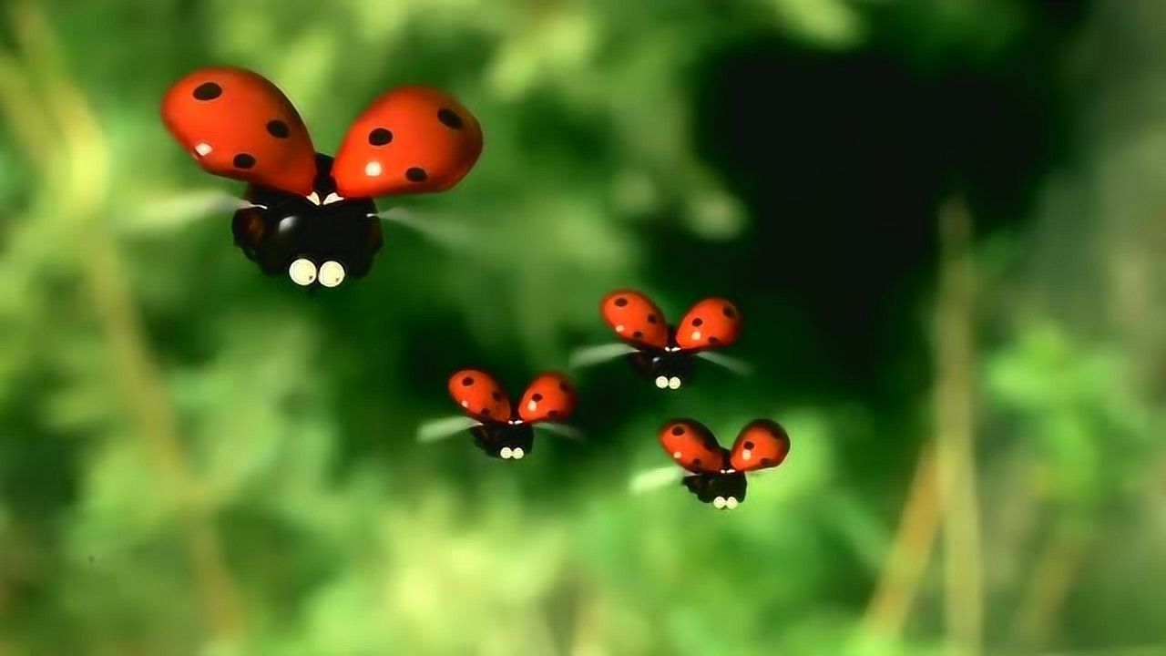 七星瓢虫带孩子飞翔先挑衅蜘蛛后招惹苍蝇结果全家被苍蝇们追打