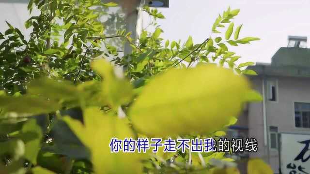 朱海波  被风吹皱的思念