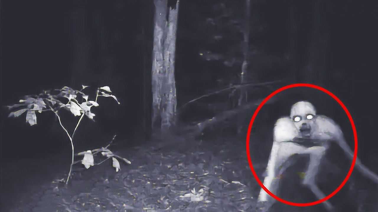 西方都市传说人形怪物瑞克目击事件之谜