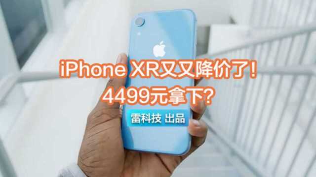 iPhone XR又又降价了!4499元可拿下,年前最好价