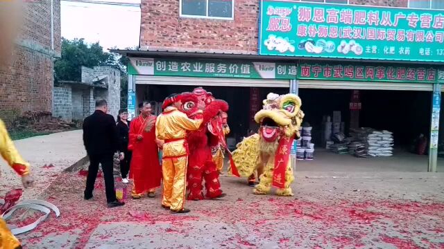 锣鼓声声狮齐舞,普天共度中国年