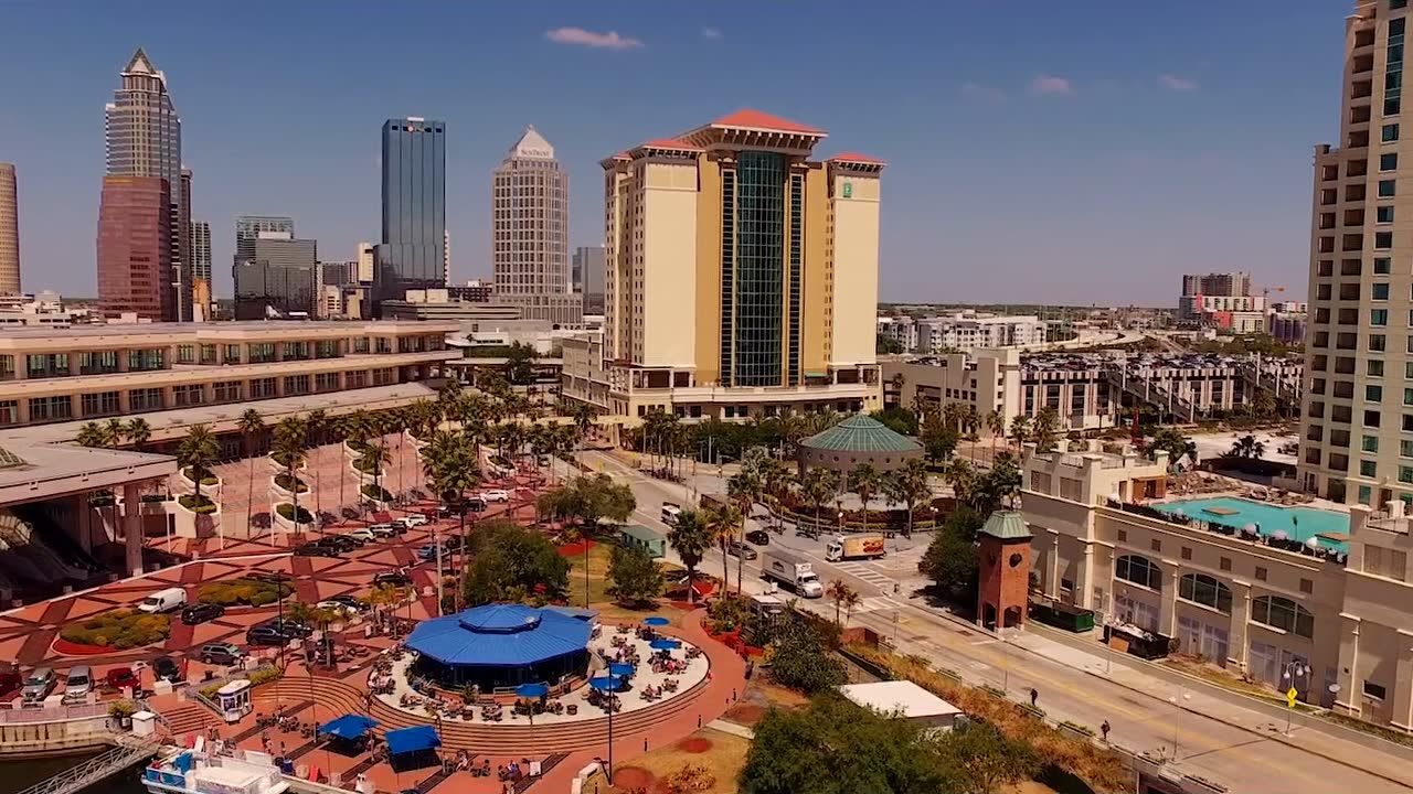 坦帕旅游:这里是坦帕湾