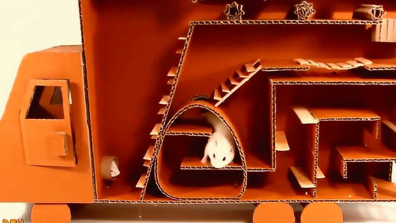 三只仓鼠在迷宫里比赛,谁能最快钻出来?