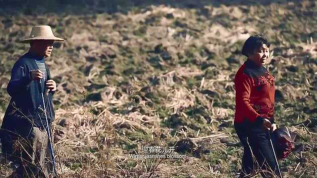 陆庆屹父母山上踏春,边走边唱,唱起那映山红