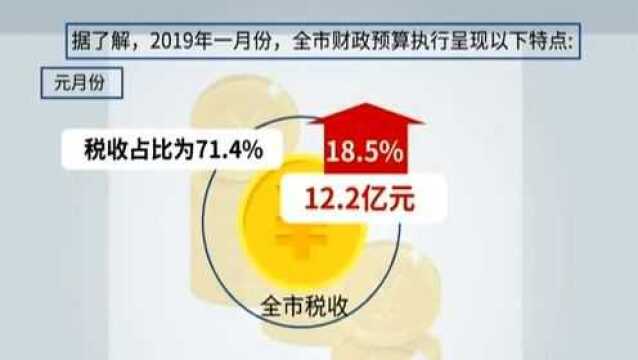 我市2019年1月一般公共预算收入顺利实现“开门红”