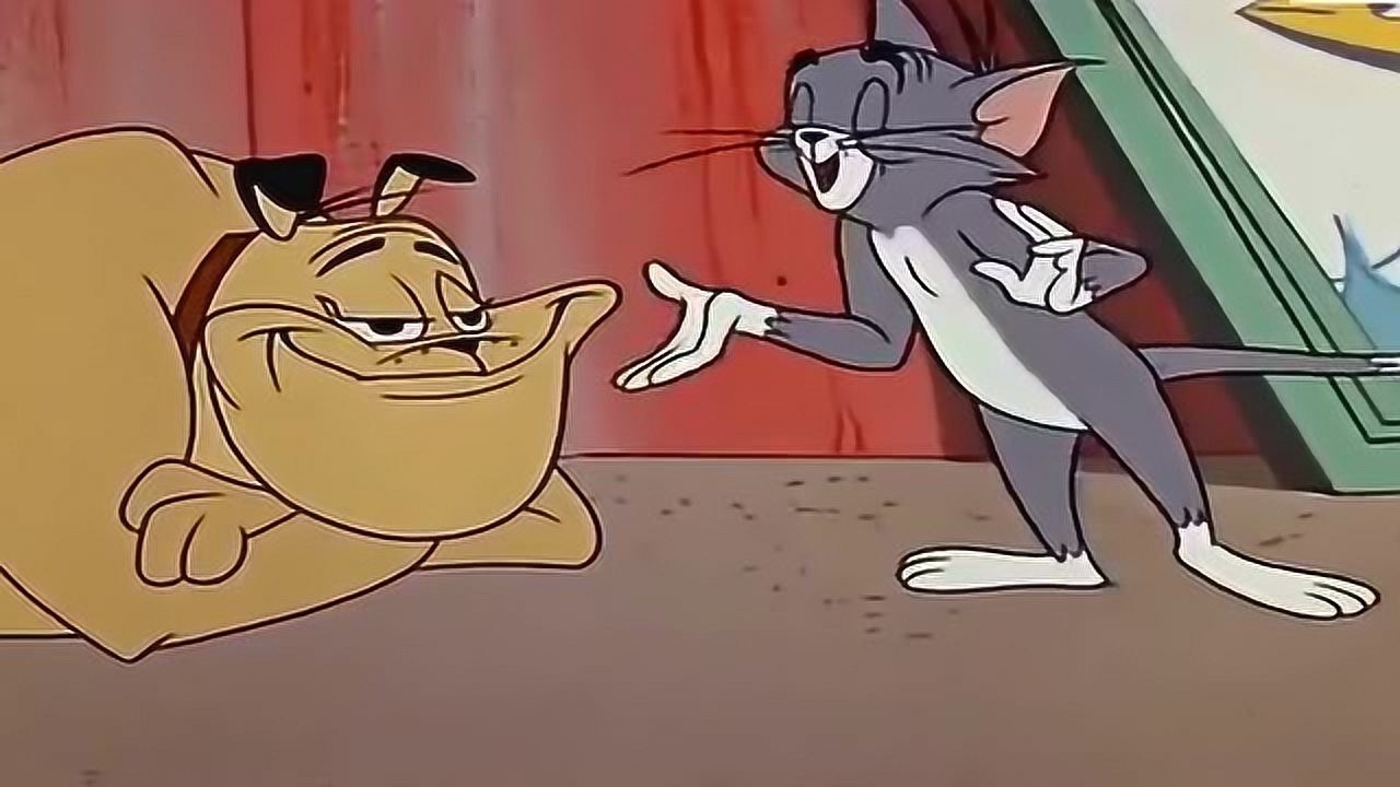 猫和老鼠:杰瑞利用斯派克保护自己,但没想到汤姆竟然这么傻