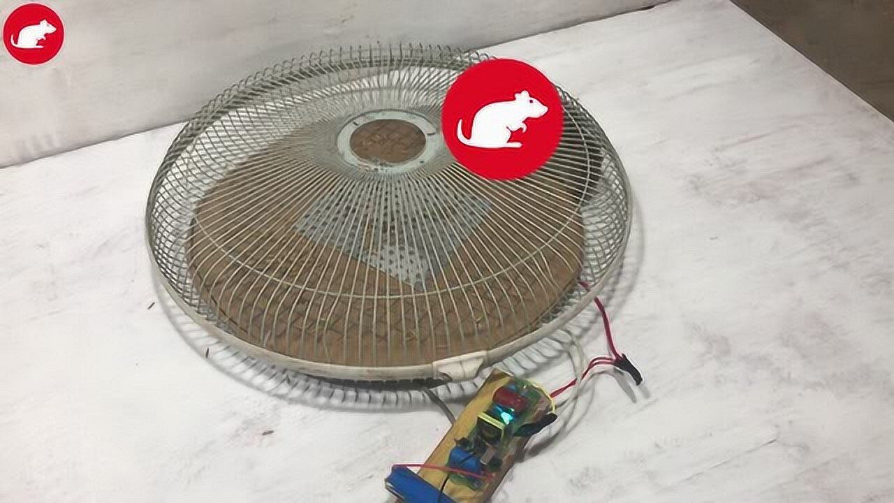 家里进了只大老鼠小伙用12v的电瓶制作了套电击捕鼠器效果真棒