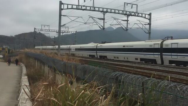 D3165次上海虹桥龙岩CRH1AA 通过浙江台州三门县站站外