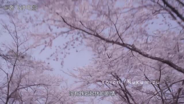 不能去武汉看樱花,只能看电影养养眼