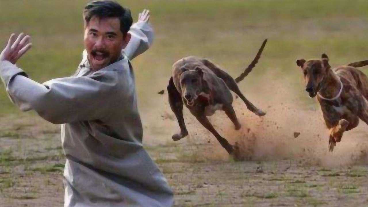 为什么人被狗追时，只要一蹲下狗就会立马落荒而逃？今天总算明白了_高清1080P在线观看平台_腾讯视频