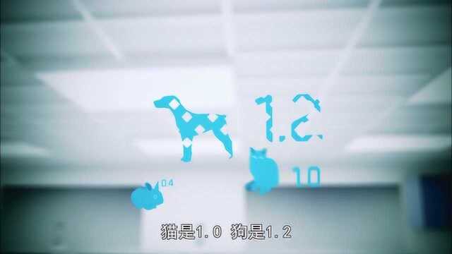 科学俱乐部:人体大脑是由什么组成的,大脑的大小并不决定聪明程度