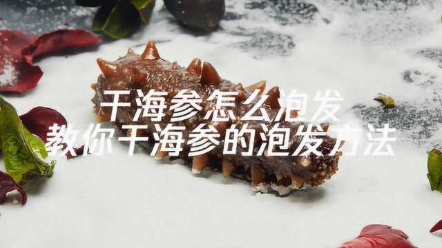 干海参怎么泡发,教你干海参的泡发方法