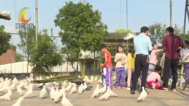 我县各学校开展研学旅行实践教育 让学生感觉阳光 体验成长