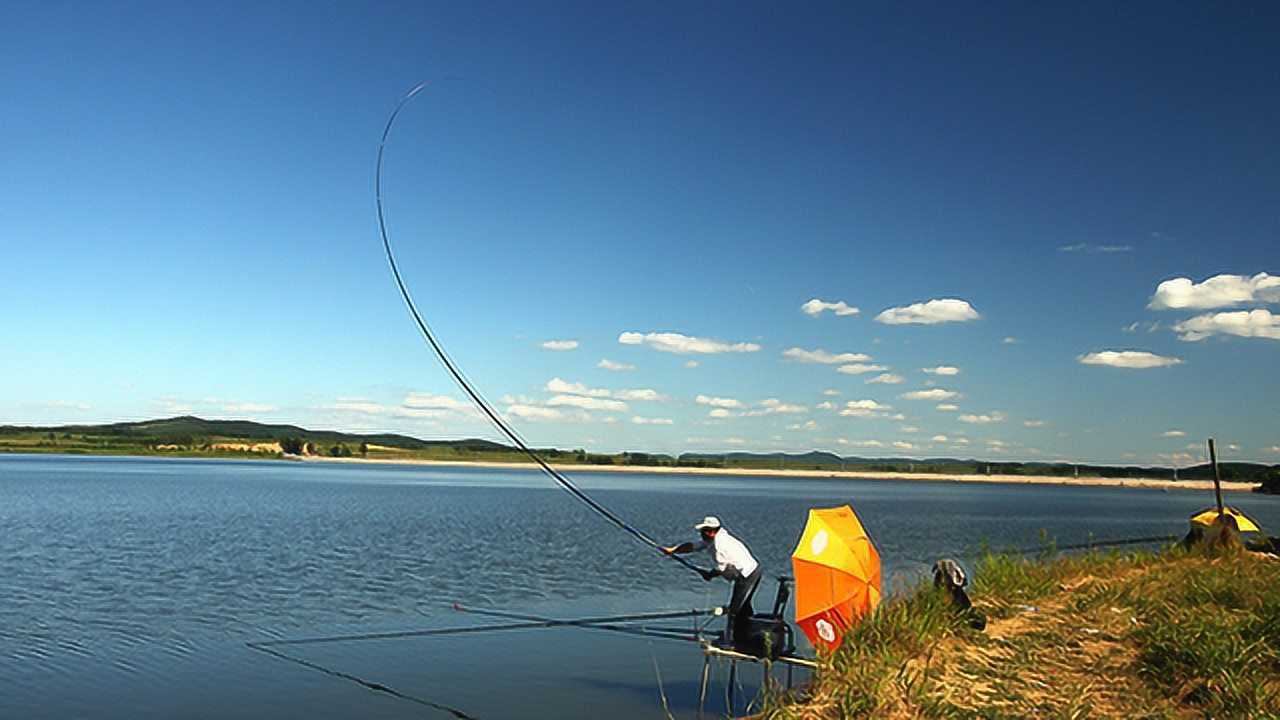 垂钓趣事 第十四期