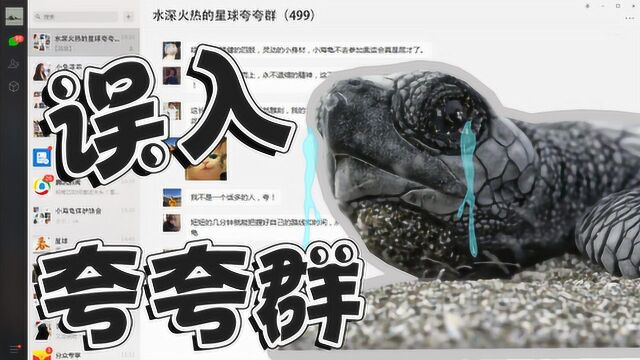 【饭制】小海龟冲破死亡线超励志,误进微信夸夸群会发生什么?