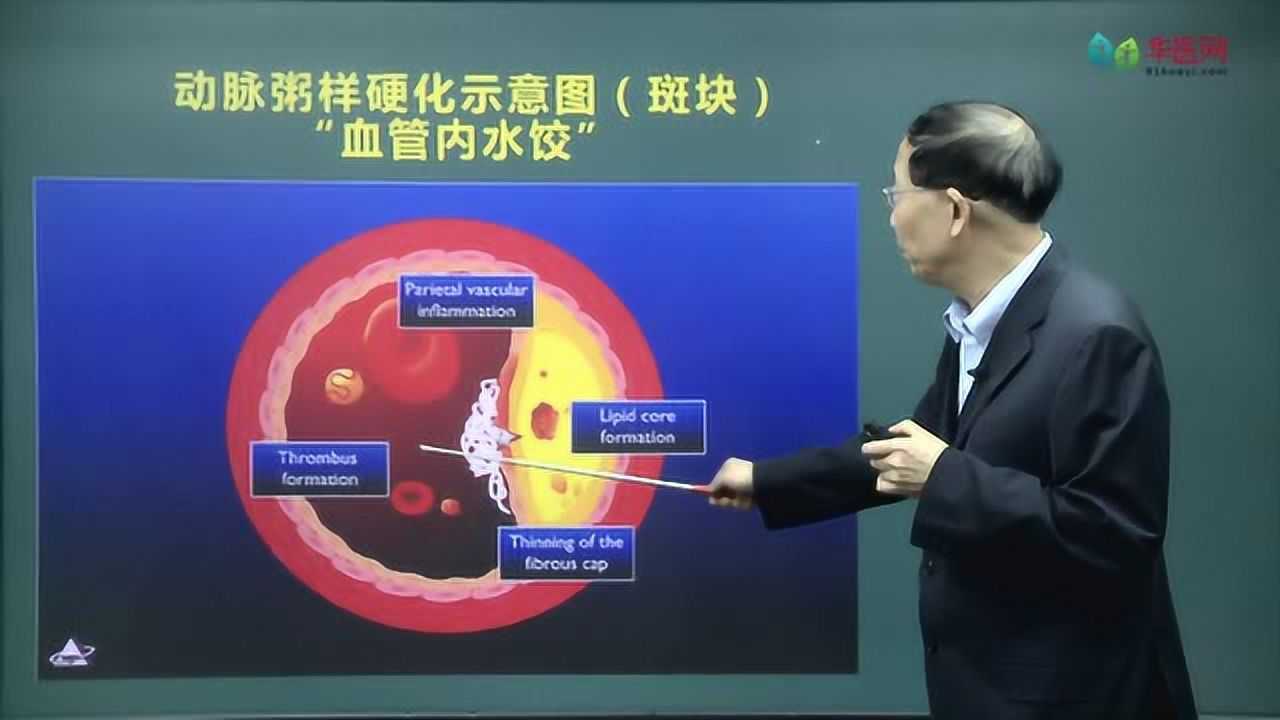 华医网2019年国家级继续医学教育项目_高清