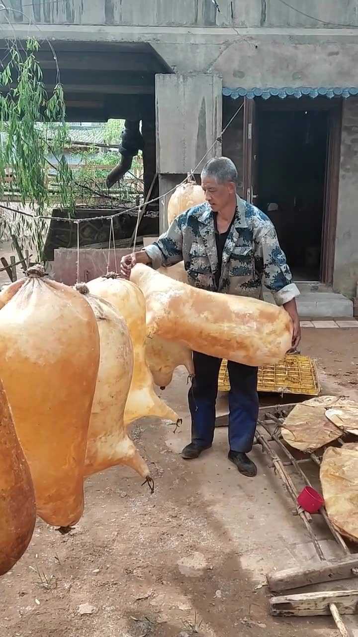 真想知道这猪皮是怎样完整的剥下来的