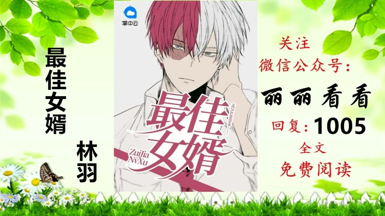 最佳女婿林羽江颜全集