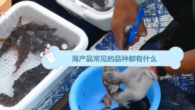 海产品常见的品种都有什么