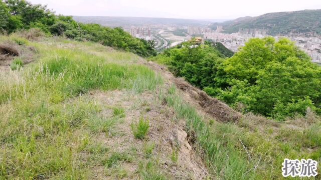 为了拍摄泾川全景,爬了一个多小时山,终于将泾川县城尽收眼底