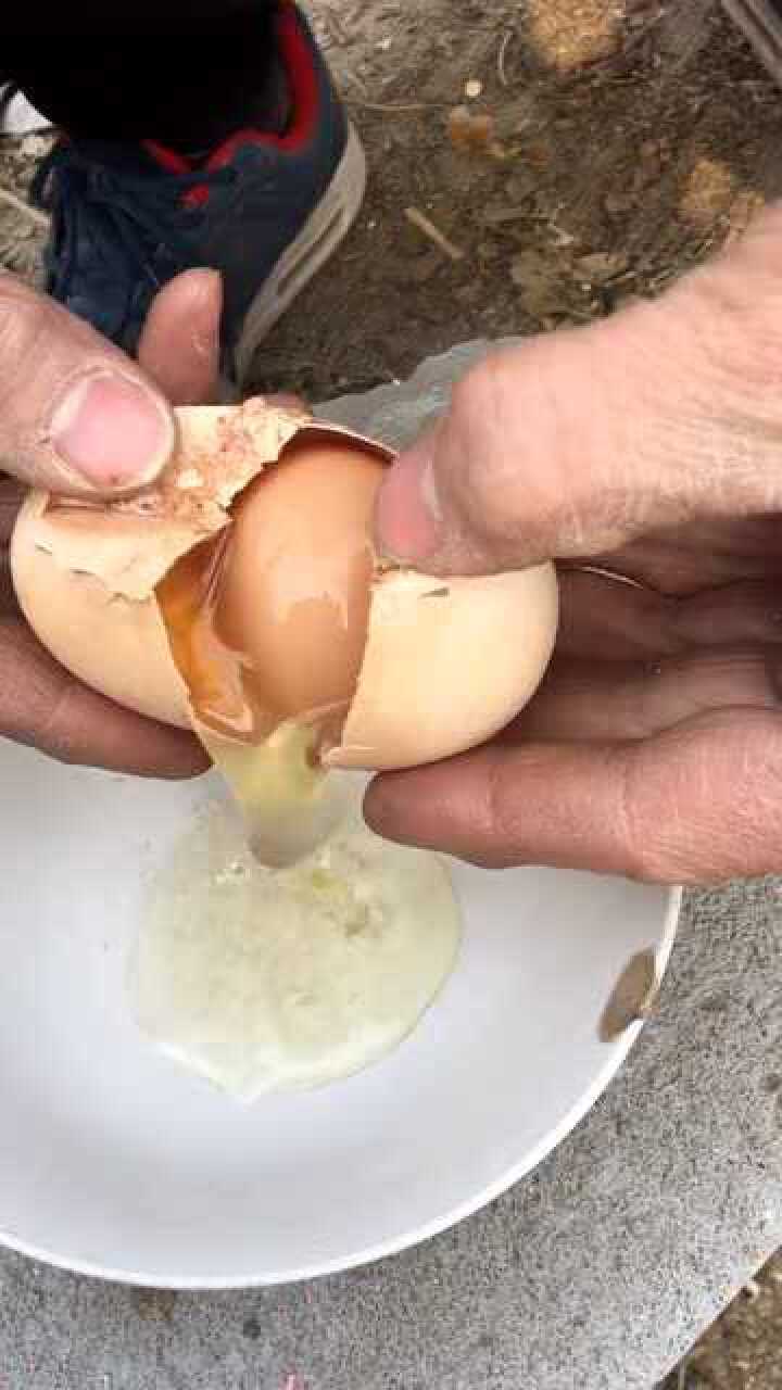 公鸡下的蛋中蛋,长这么大第一次见!