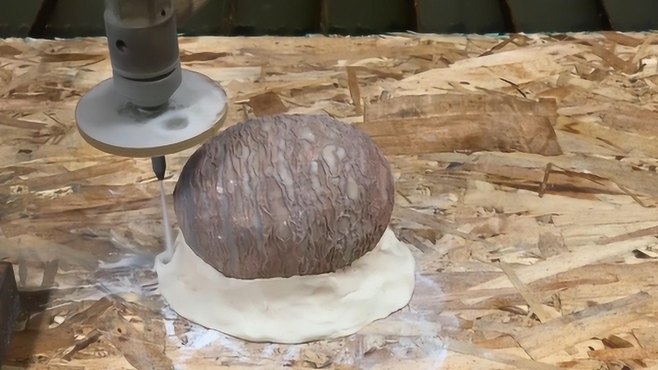 上万年的恐龙蛋化石切开里面会有什么网友太惊喜