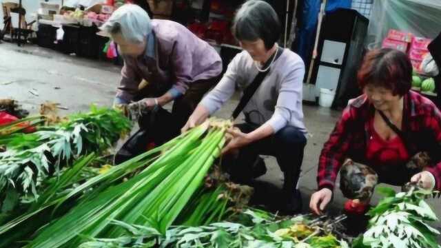 端午节门上挂“艾草”和“菖蒲”,有什么意义?看完又学到了!