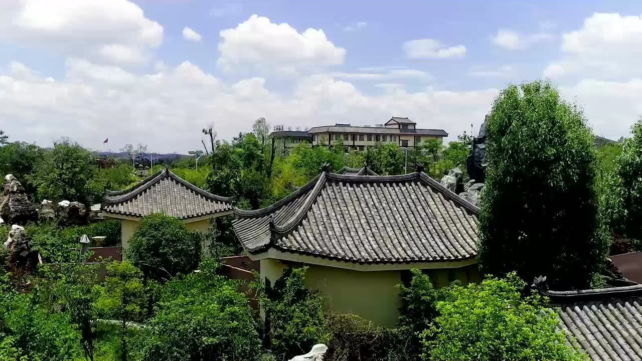 【精彩视频】走进杏林大观园_高清1080P在线观看平台_腾讯视频