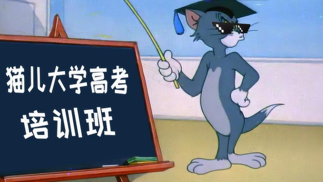 四川方言版猫和老鼠,汤姆猫开培训班要培养猫界高材生?笑安逸了