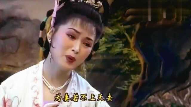 黄梅戏《天仙配》:董郎昏迷在荒郊,严凤英原声配像