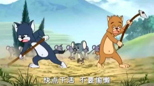 野猫将军被俘多日,受到小老鼠们的虐待,都被逼疯了