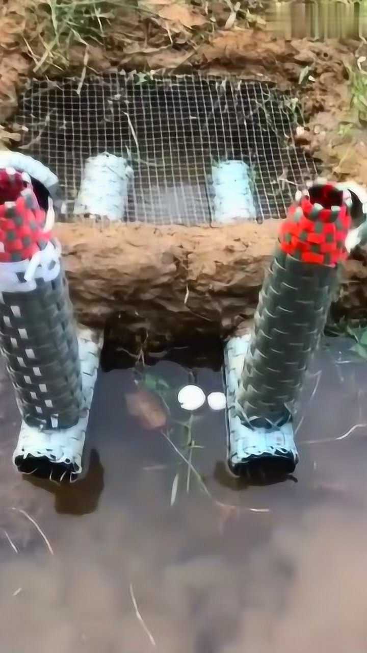 自己制作的抓鱼陷阱就在河边你们觉得能抓到鱼吗