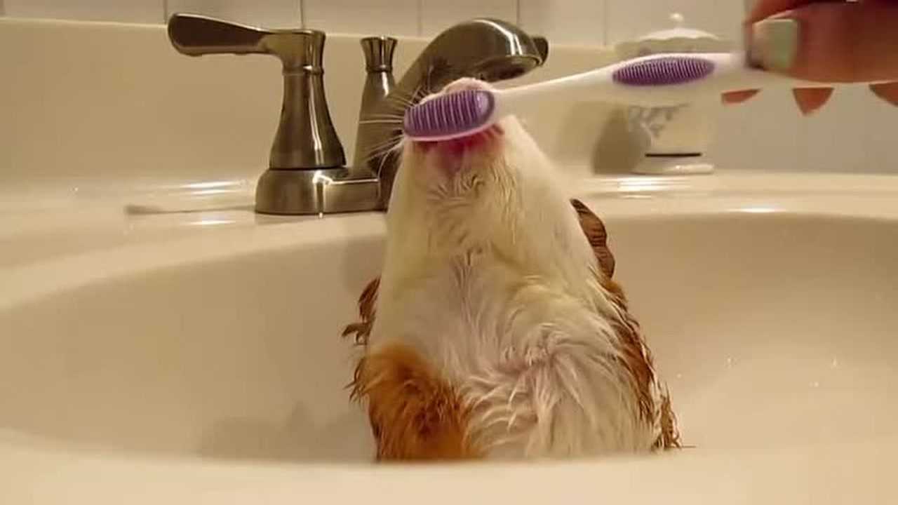 29桂晶晶演绎港风性感美女 男人的嘴骗人的鬼,这下翻船了猛男说电影02